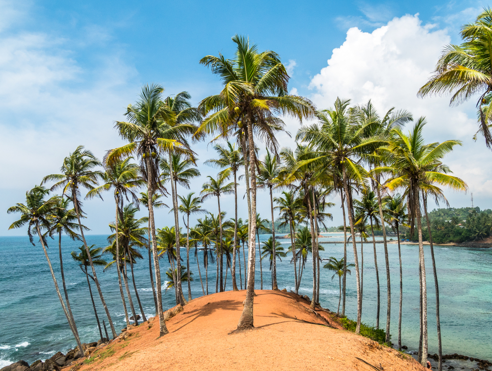 Sri,Lanka,Nice,Coconut,Hill