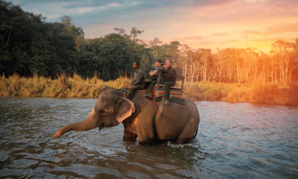 chitwan-national-park