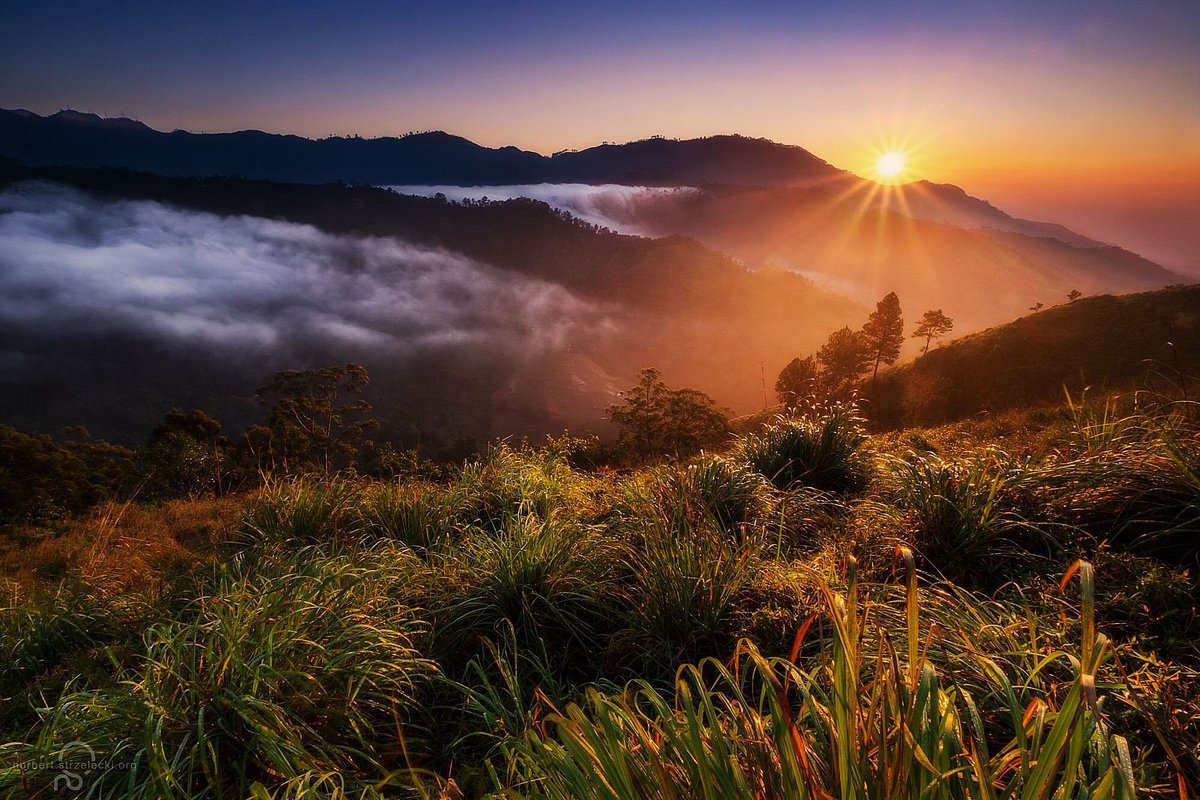sunrise
